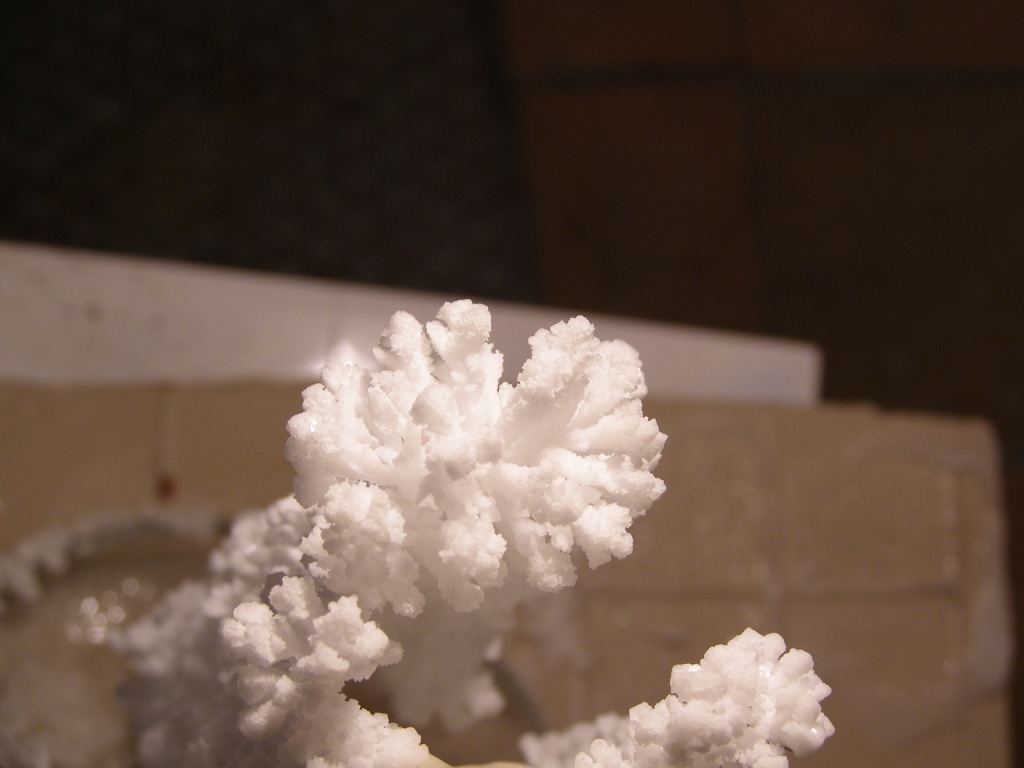 Как вырастить кристалл из соли