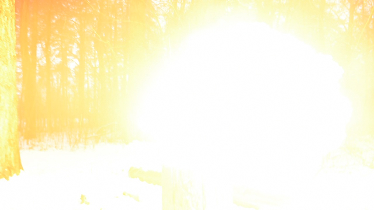   ( 1 )