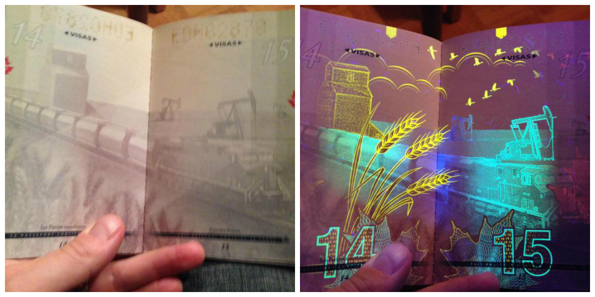     . Canadian passport under UV light