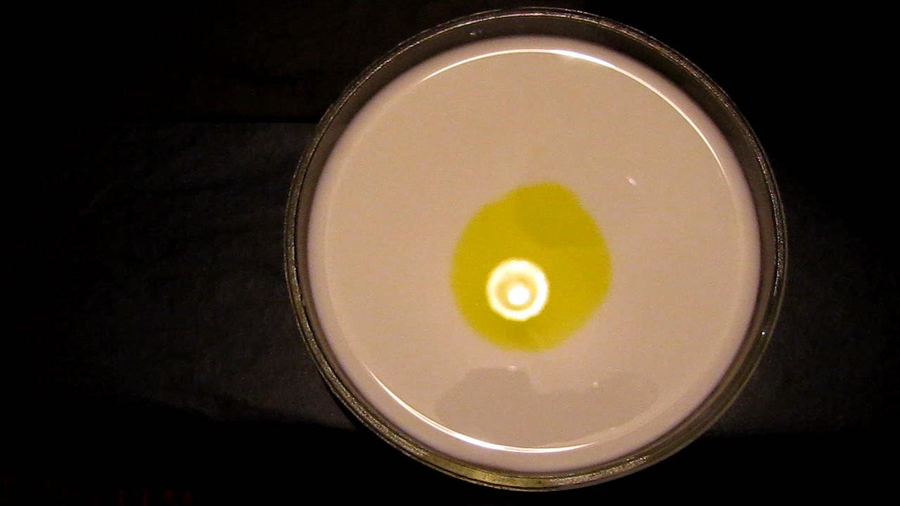 The Fluorescence of Fluorescein under UV Light on the Surface of Milk. (Surface Tension Experiments).        . (   )