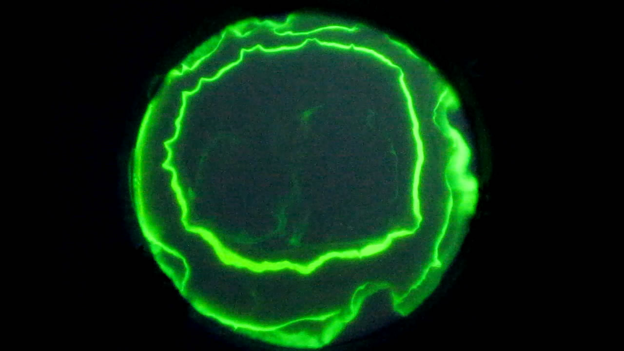 The Fluorescence of Fluorescein under UV Light on the Surface of Milk. (Surface Tension Experiments).        . (   )