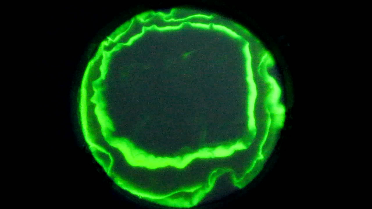 The Fluorescence of Fluorescein under UV Light on the Surface of Milk. (Surface Tension Experiments).        . (   )