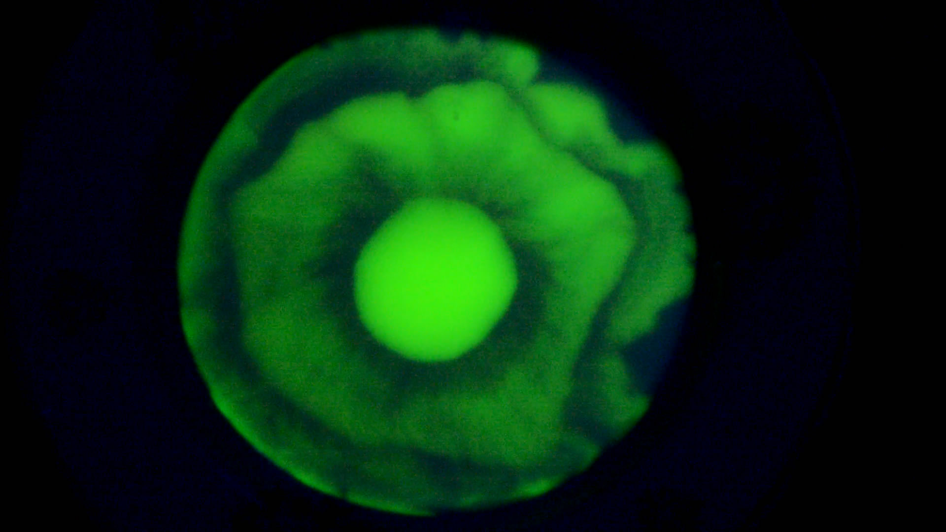 The Fluorescence of Fluorescein under UV Light on the Surface of Milk. (Surface Tension Experiments).        . (   )