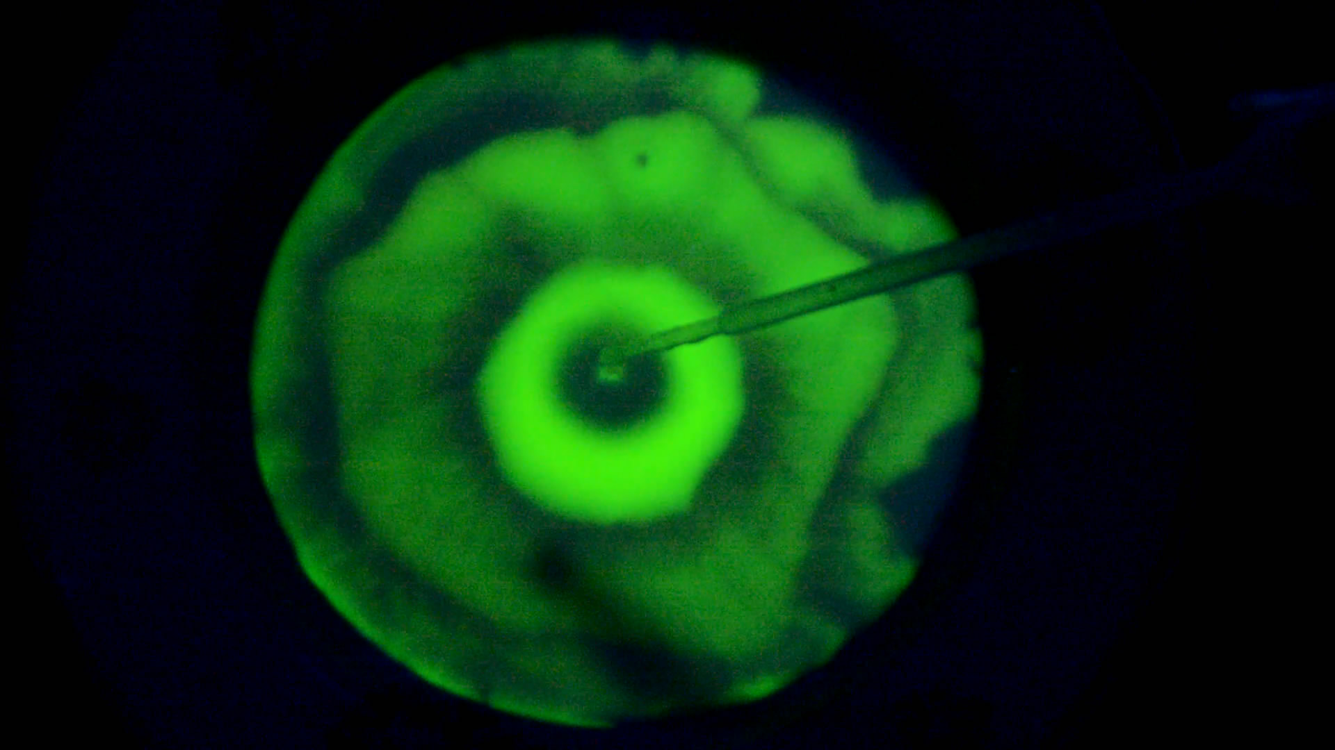 The Fluorescence of Fluorescein under UV Light on the Surface of Milk. (Surface Tension Experiments).        . (   )