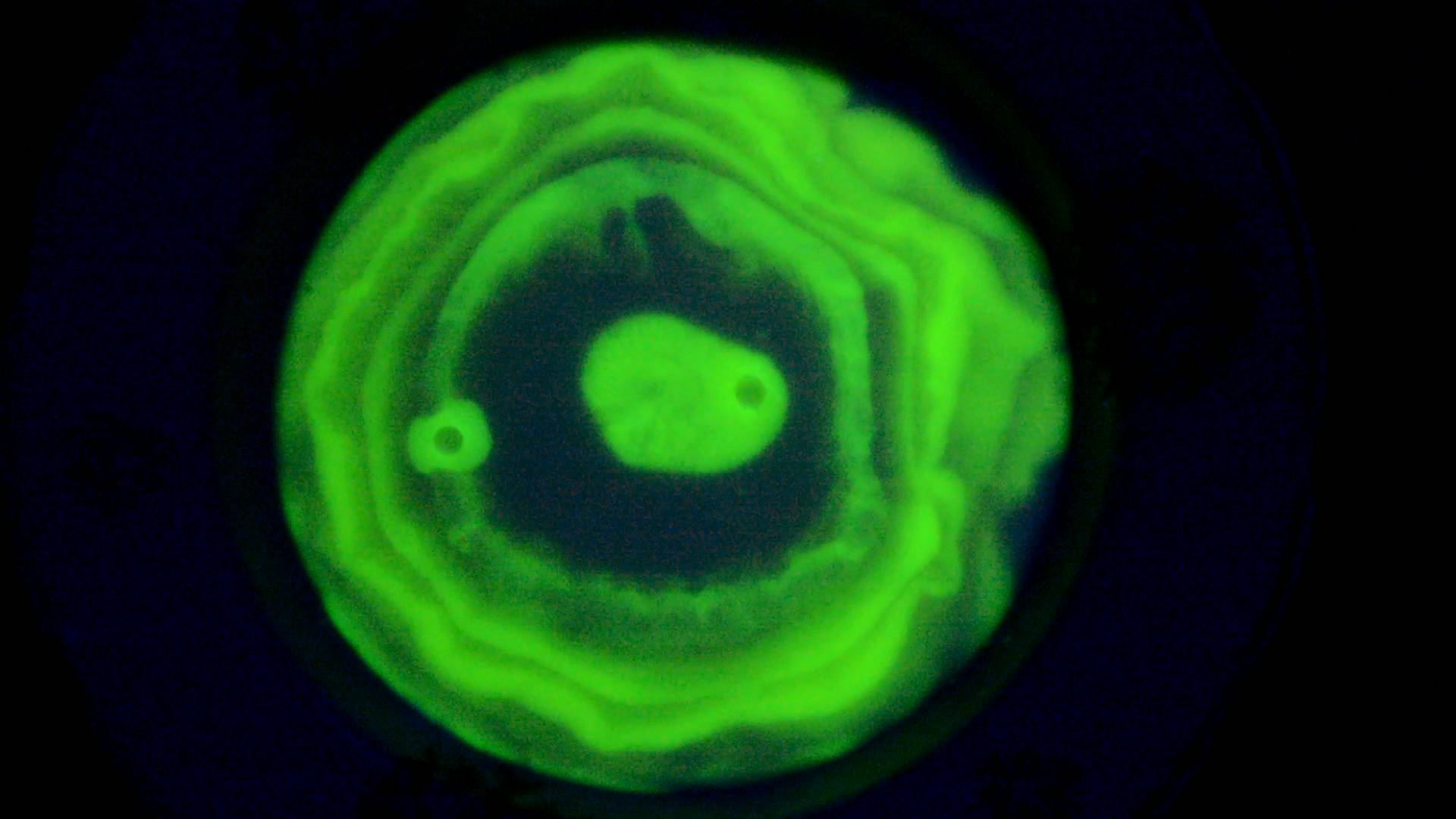 The Fluorescence of Fluorescein under UV Light on the Surface of Milk. (Surface Tension Experiments).        . (   )