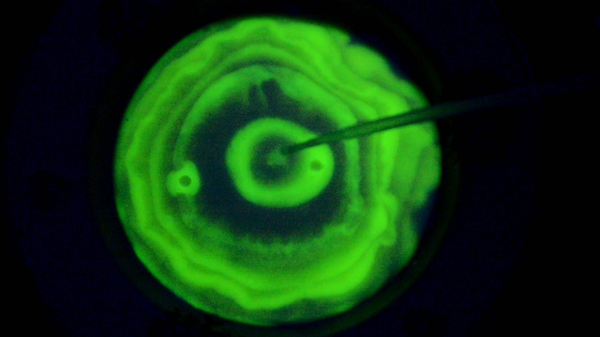 The Fluorescence of Fluorescein under UV Light on the Surface of Milk. (Surface Tension Experiments).        . (   )