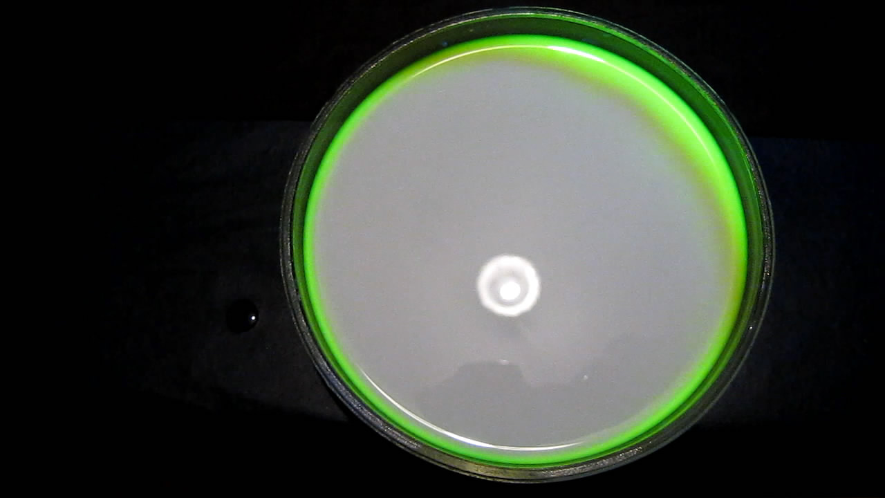 The Fluorescence of Fluorescein under UV Light on the Surface of Milk. (Surface Tension Experiments).        . (   )