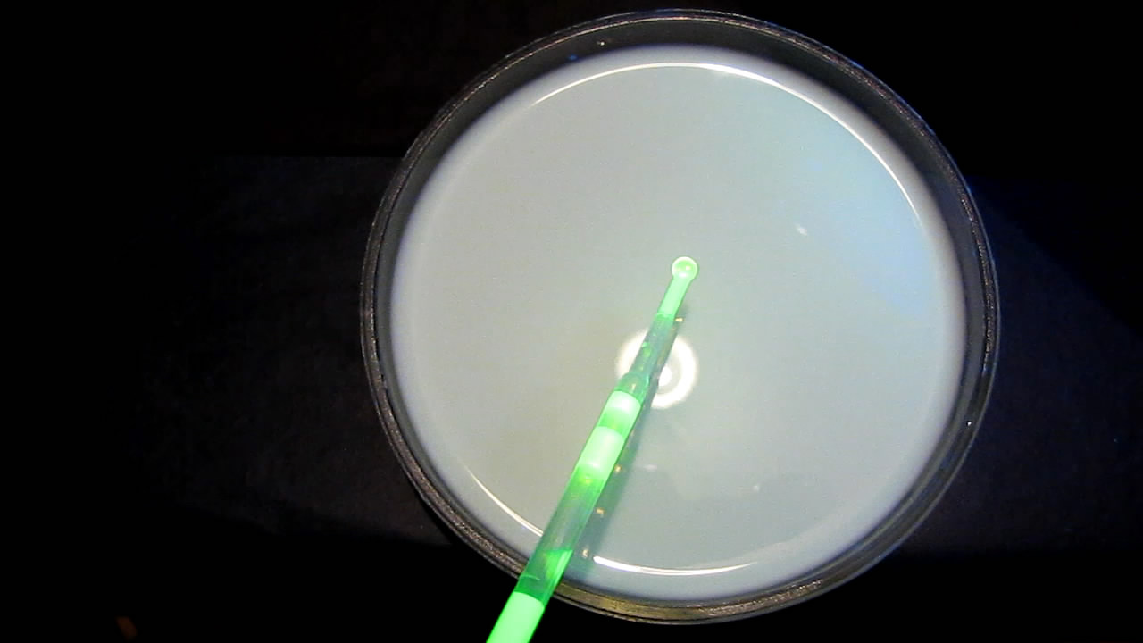 The Fluorescence of Fluorescein under UV Light on the Surface of Milk. (Surface Tension Experiments).        . (   )