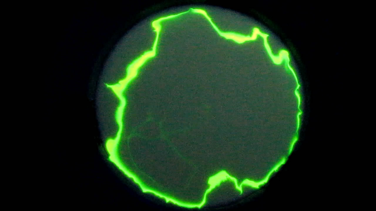 The Fluorescence of Fluorescein under UV Light on the Surface of Milk. (Surface Tension Experiments).        . (   )