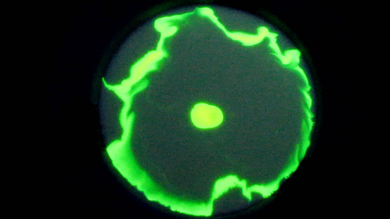 The Fluorescence of Fluorescein under UV Light on the Surface of Milk. (Surface Tension Experiments).        . (   )