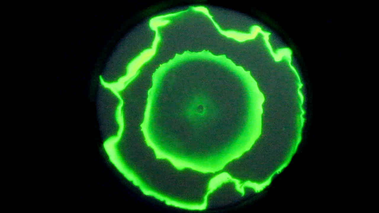 The Fluorescence of Fluorescein under UV Light on the Surface of Milk. (Surface Tension Experiments).        . (   )