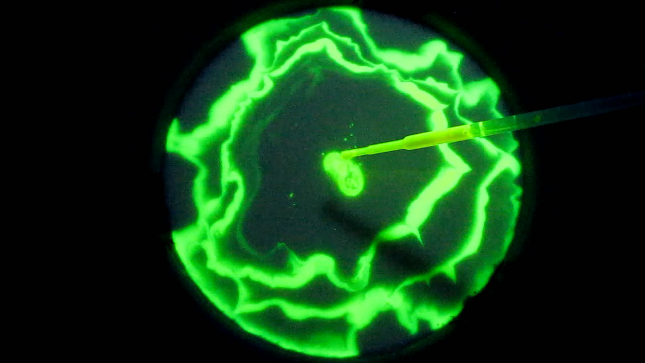 The Fluorescence of Fluorescein under UV Light on the Surface of Milk. (Surface Tension Experiments).        . (   )