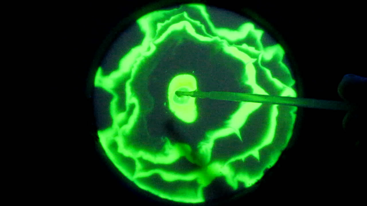 The Fluorescence of Fluorescein under UV Light on the Surface of Milk. (Surface Tension Experiments).        . (   )