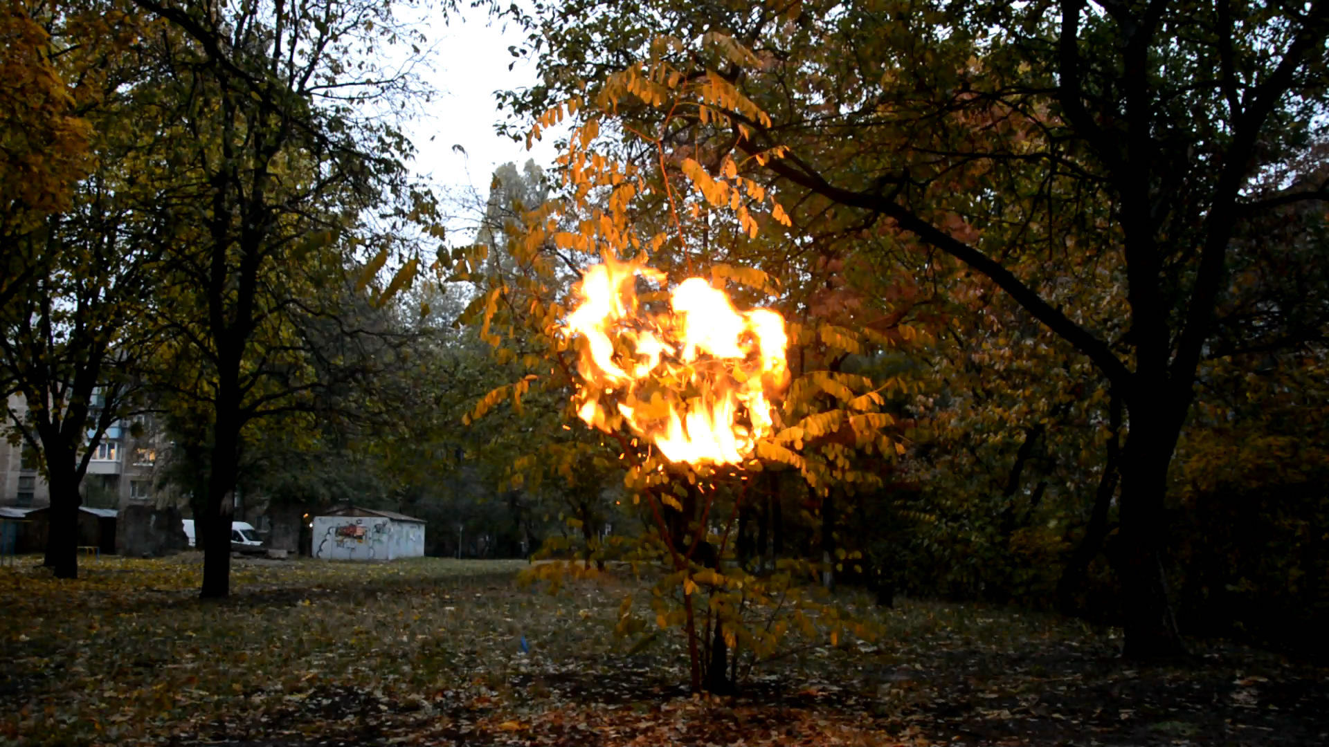  - (  ). Mixture of Acetylene and Air (Explosion of Toy Balloon)