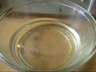     / Reaction of Sodium and Water