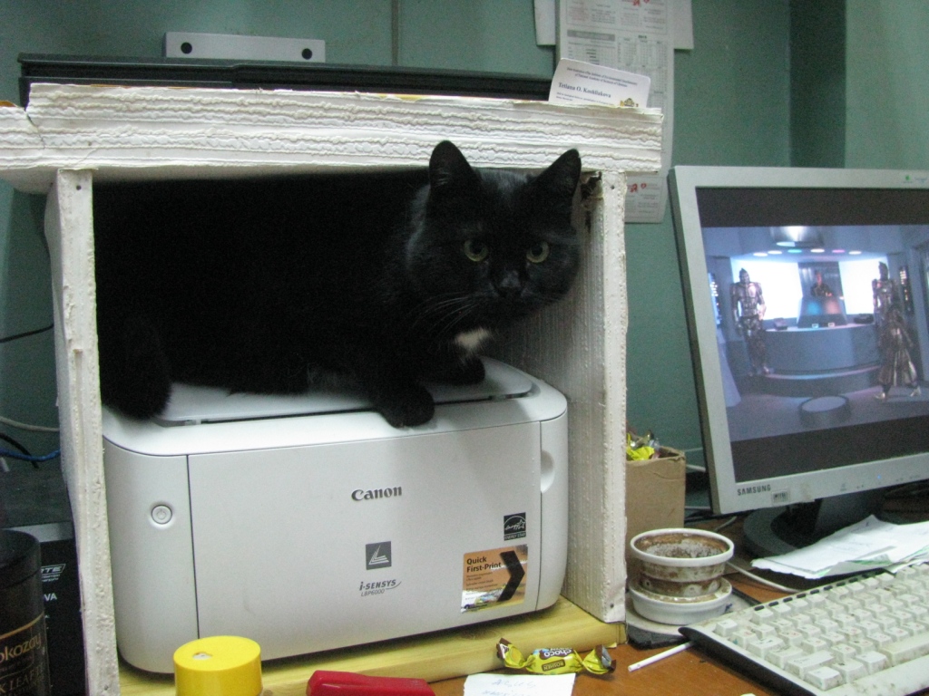 Кошка и принтер (суровые будни Академии наук). Cat and printer (harsh everyday life of Academy of sciences)