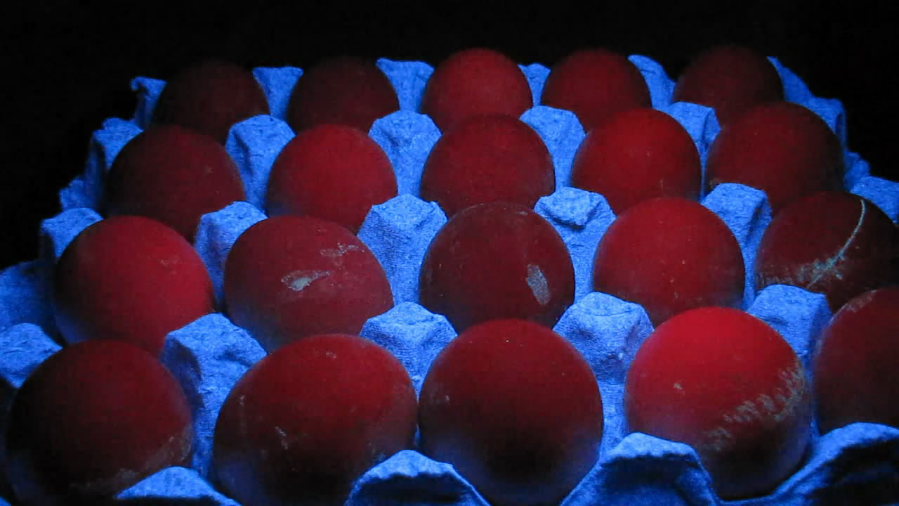     . Chicken eggs and ultraviolet lamp