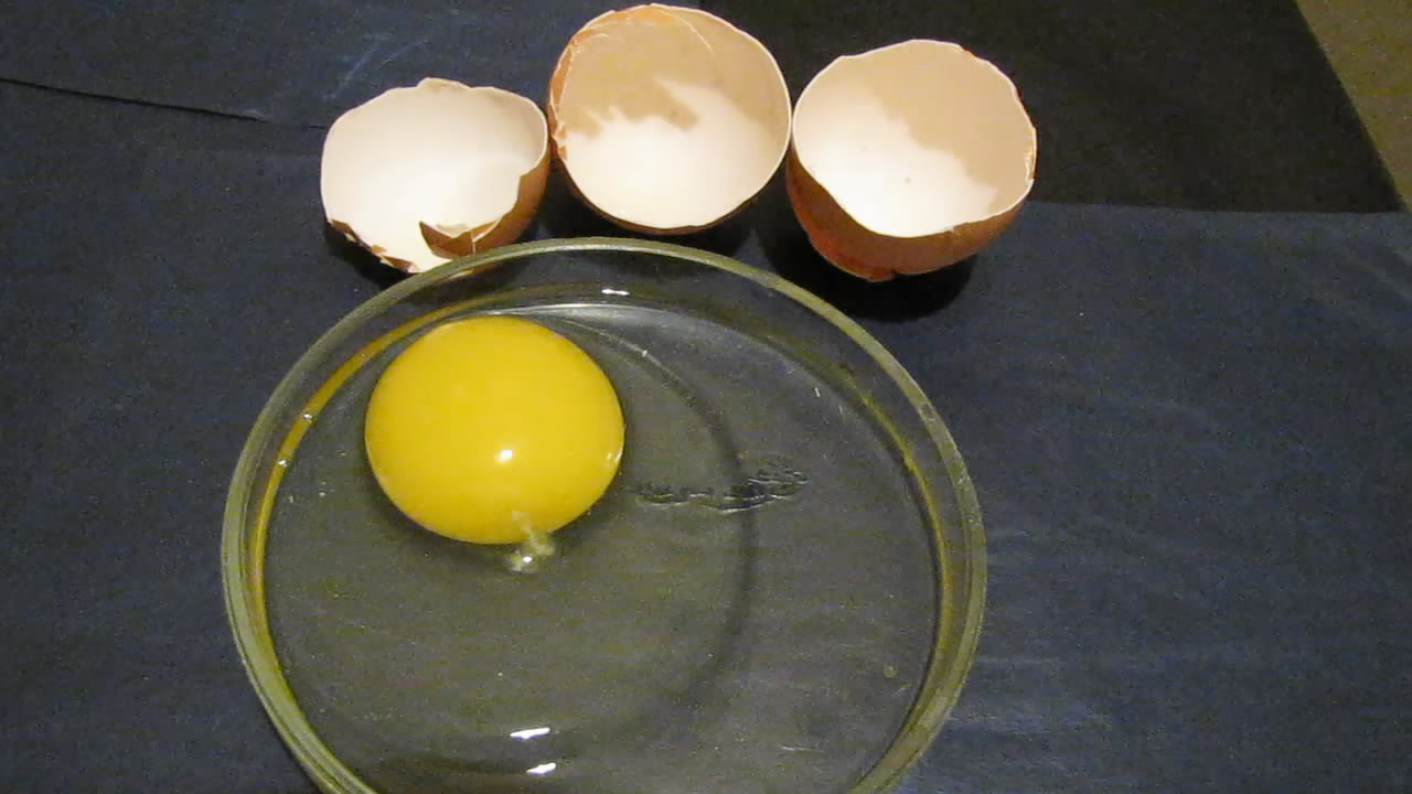     . Chicken eggs and ultraviolet lamp