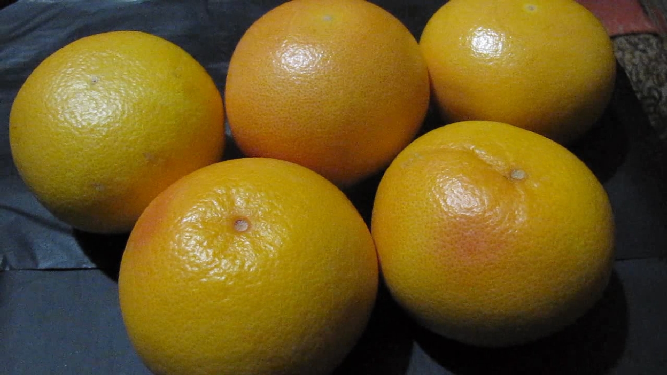    . Grapefruit and ultraviolet light