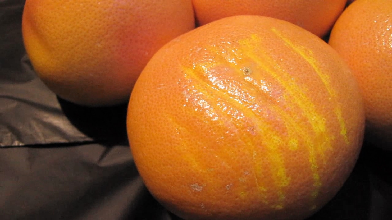    . Grapefruit and ultraviolet light