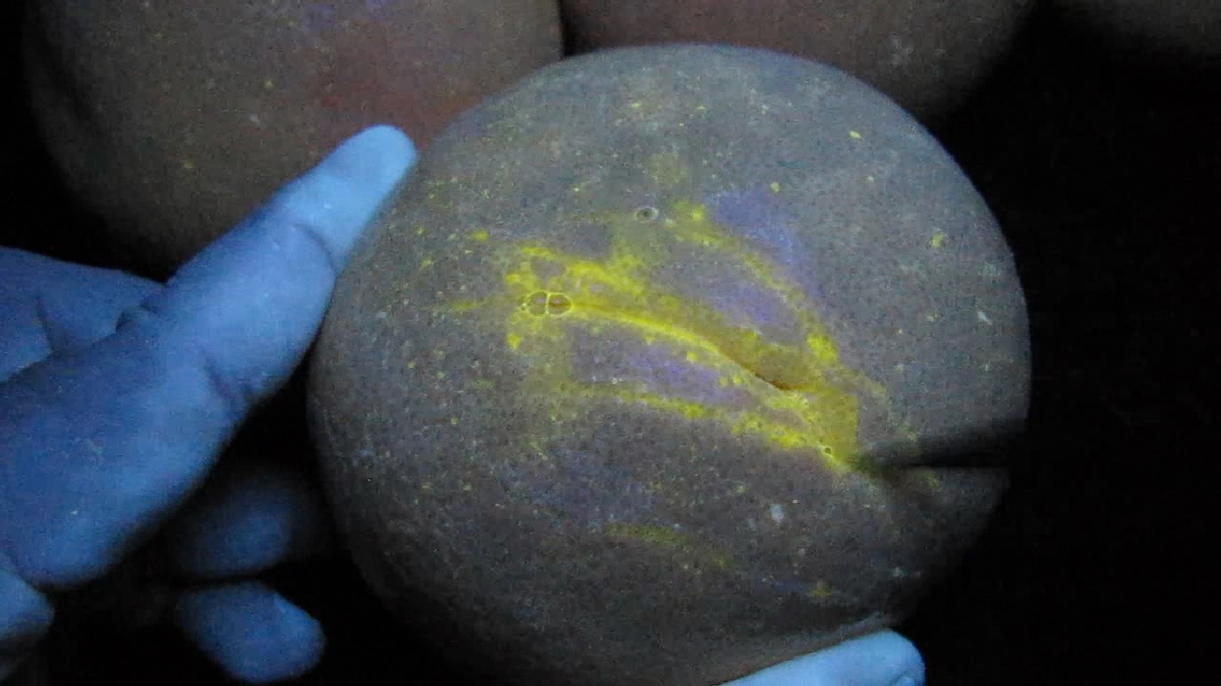    . Grapefruit and ultraviolet light