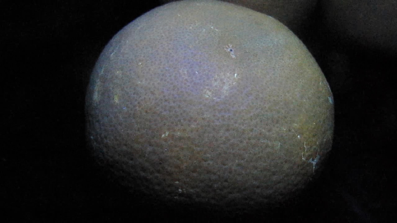    . Grapefruit and ultraviolet light