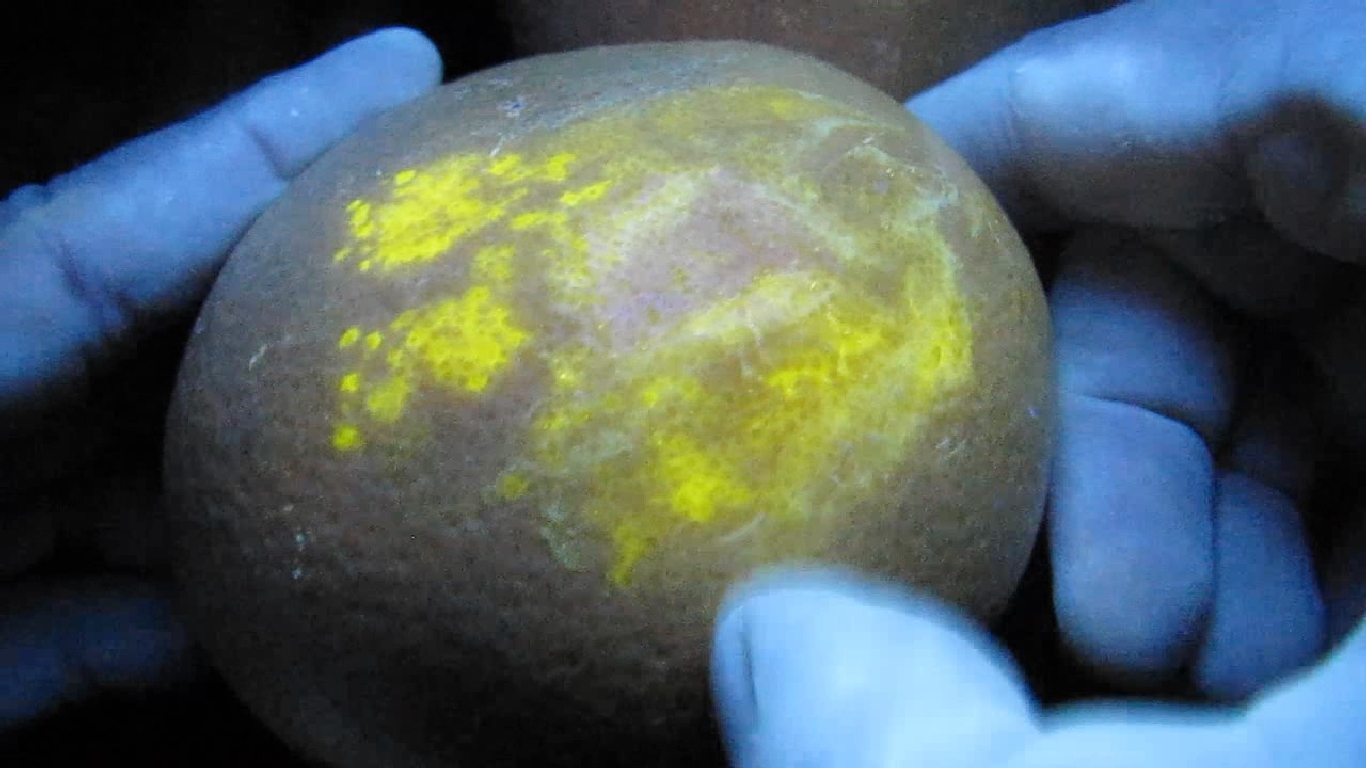    . Grapefruit and ultraviolet light