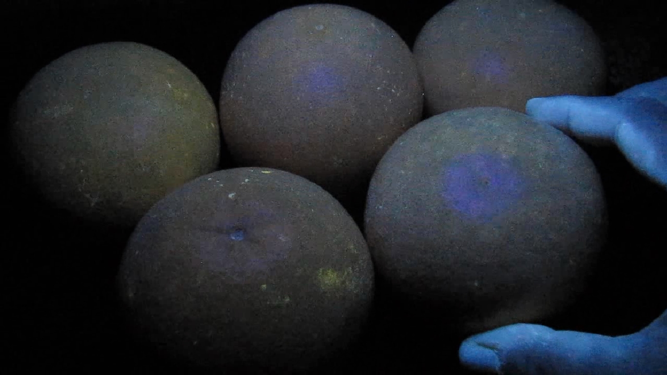   . Grapefruit and ultraviolet light