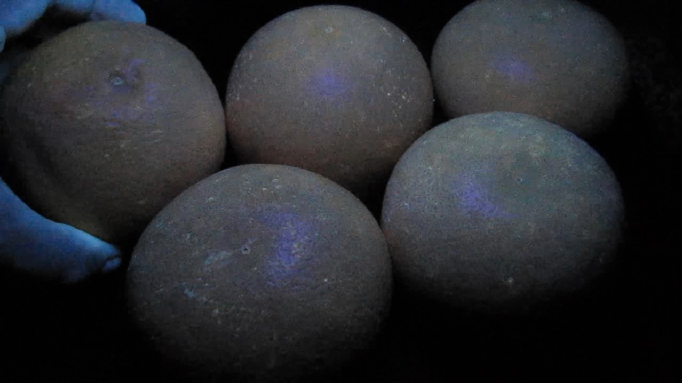    . Grapefruit and ultraviolet light
