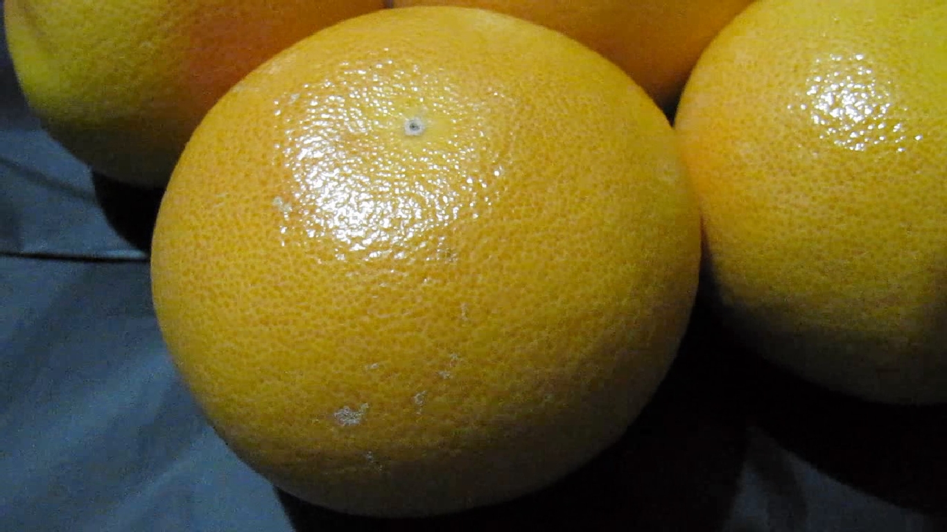    . Grapefruit and ultraviolet light