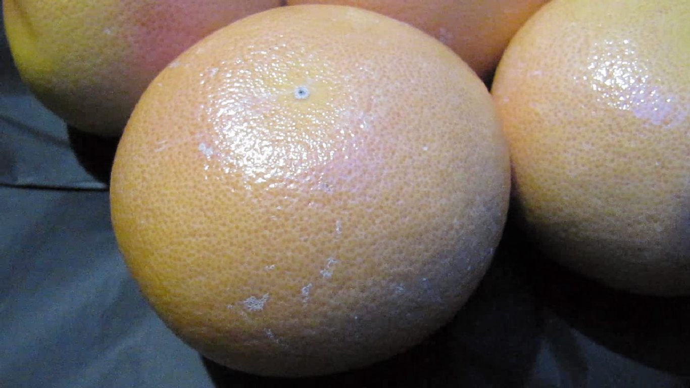    . Grapefruit and ultraviolet light