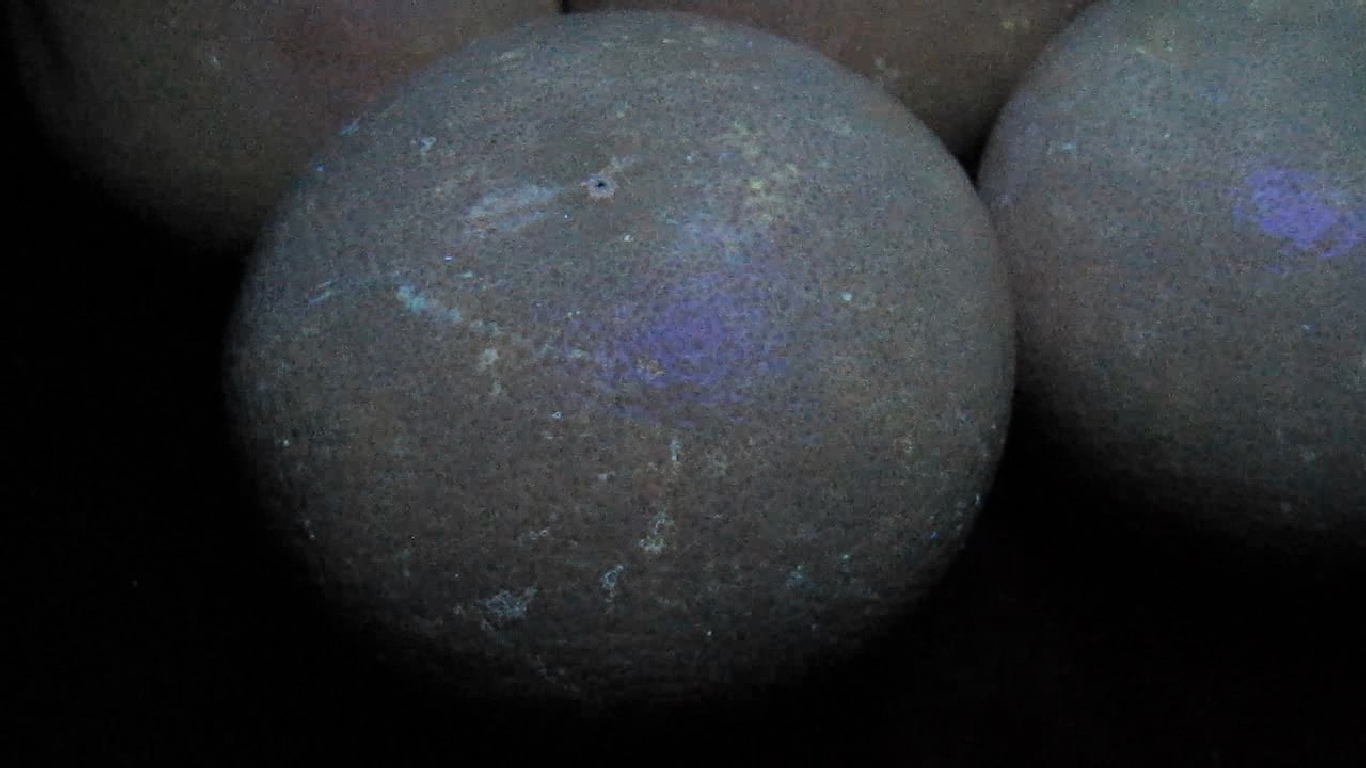   . Grapefruit and ultraviolet light