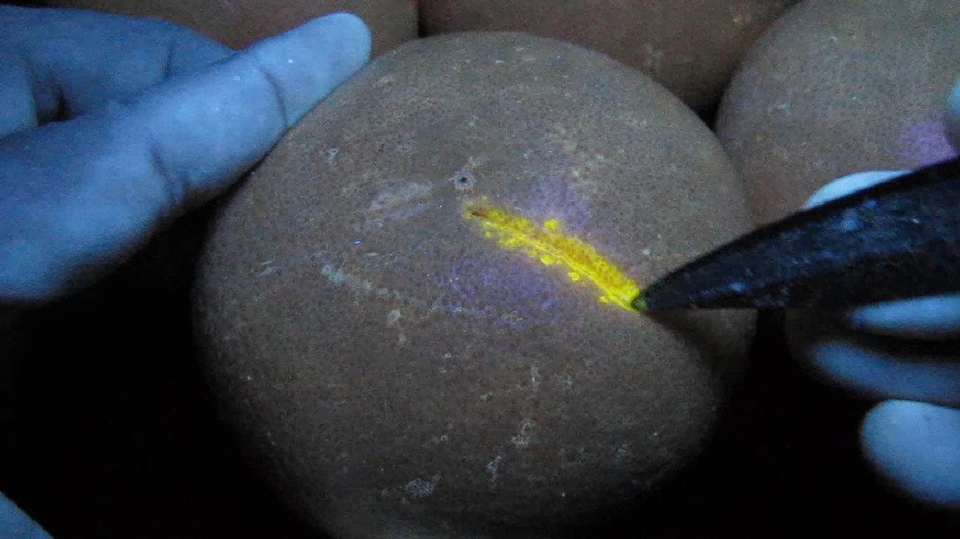    . Grapefruit and ultraviolet light