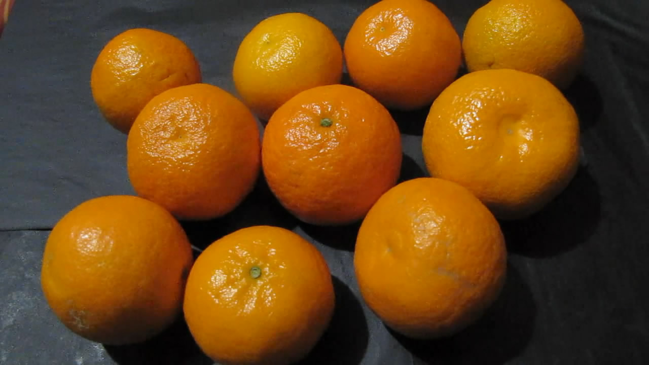 ,    . Lemons, mandarins and ultraviolet light