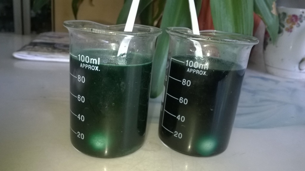   (). Chemical laboratory (at factory) - photos