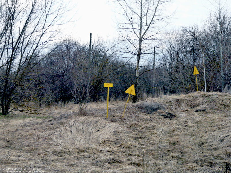   . Chernobyl exclusion zone