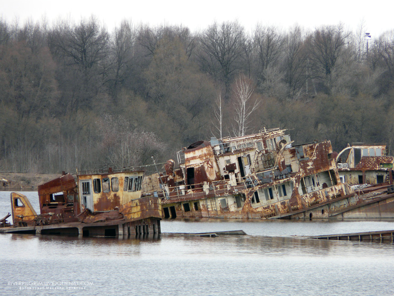   . Chernobyl exclusion zone