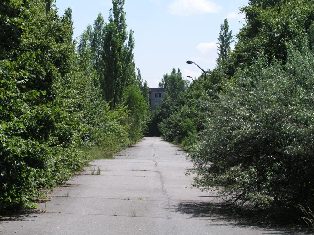   . Chernobyl exclusion zone