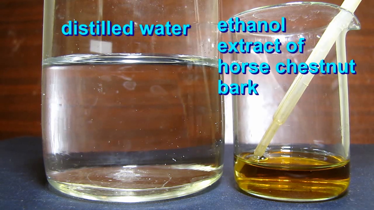Horse chestnut bark, ethanol, water and fluorescence