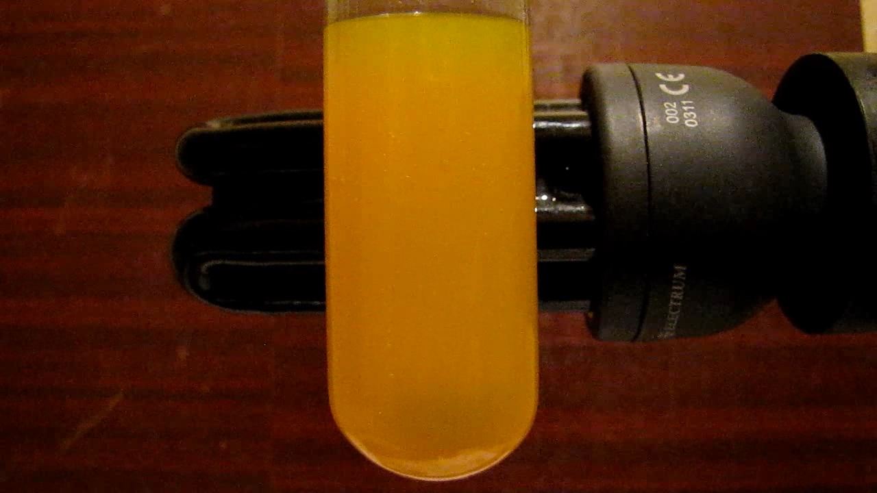 Ethanol, water and rhodamine (fluorescence in UV)