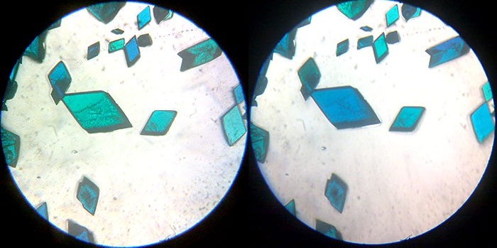 Copper(II) acetate crystals