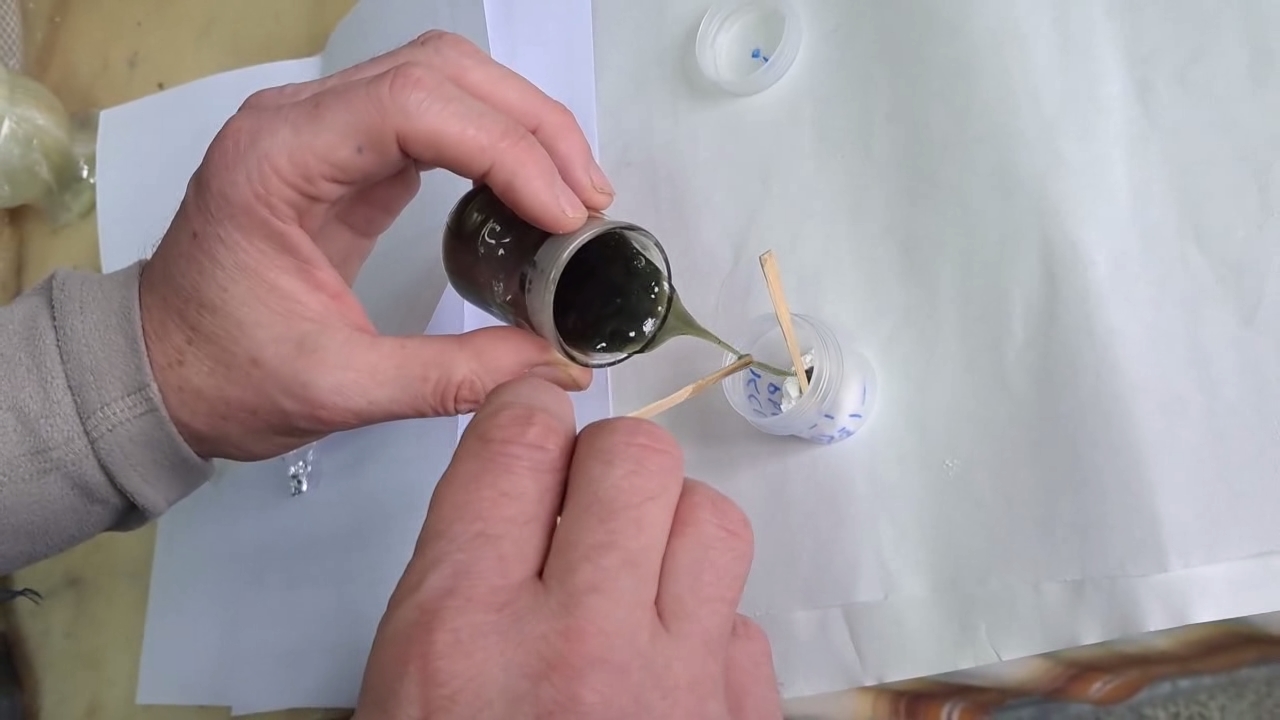 Lead(II) Thiocyanate, Potassium Chlorate and Electric Current