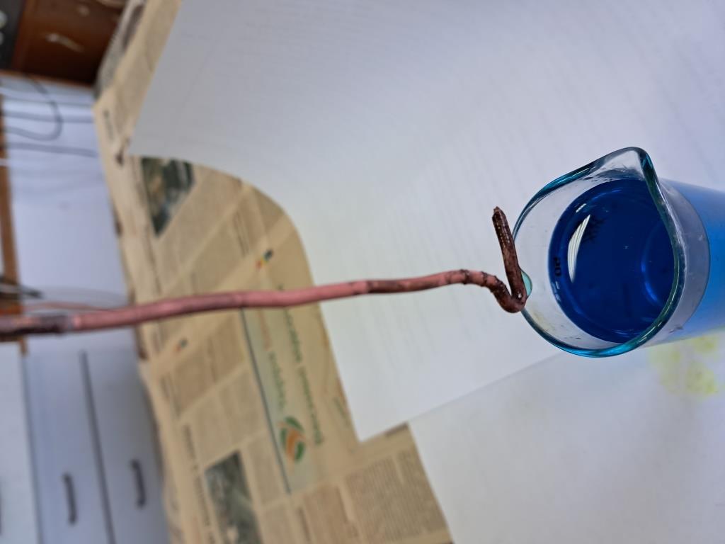 Copper electroplating of different metals
