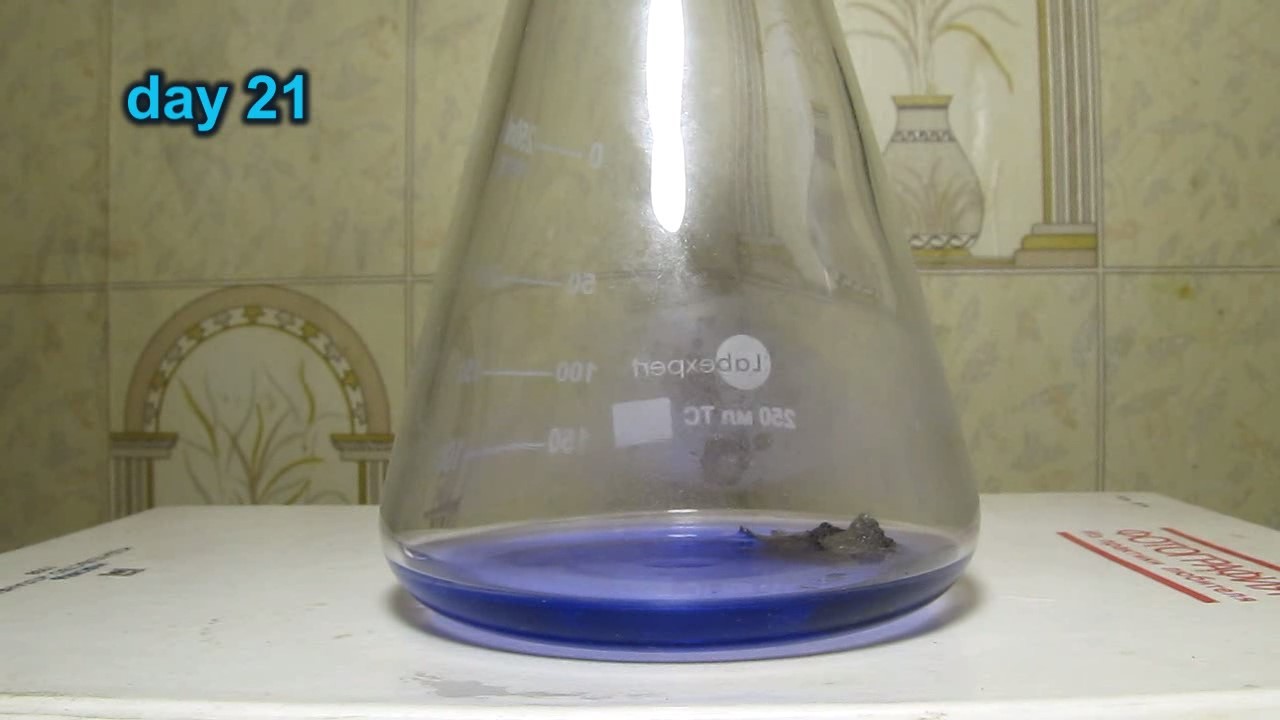 Dissolution of Nickel in Aqueous Ammonia Solution