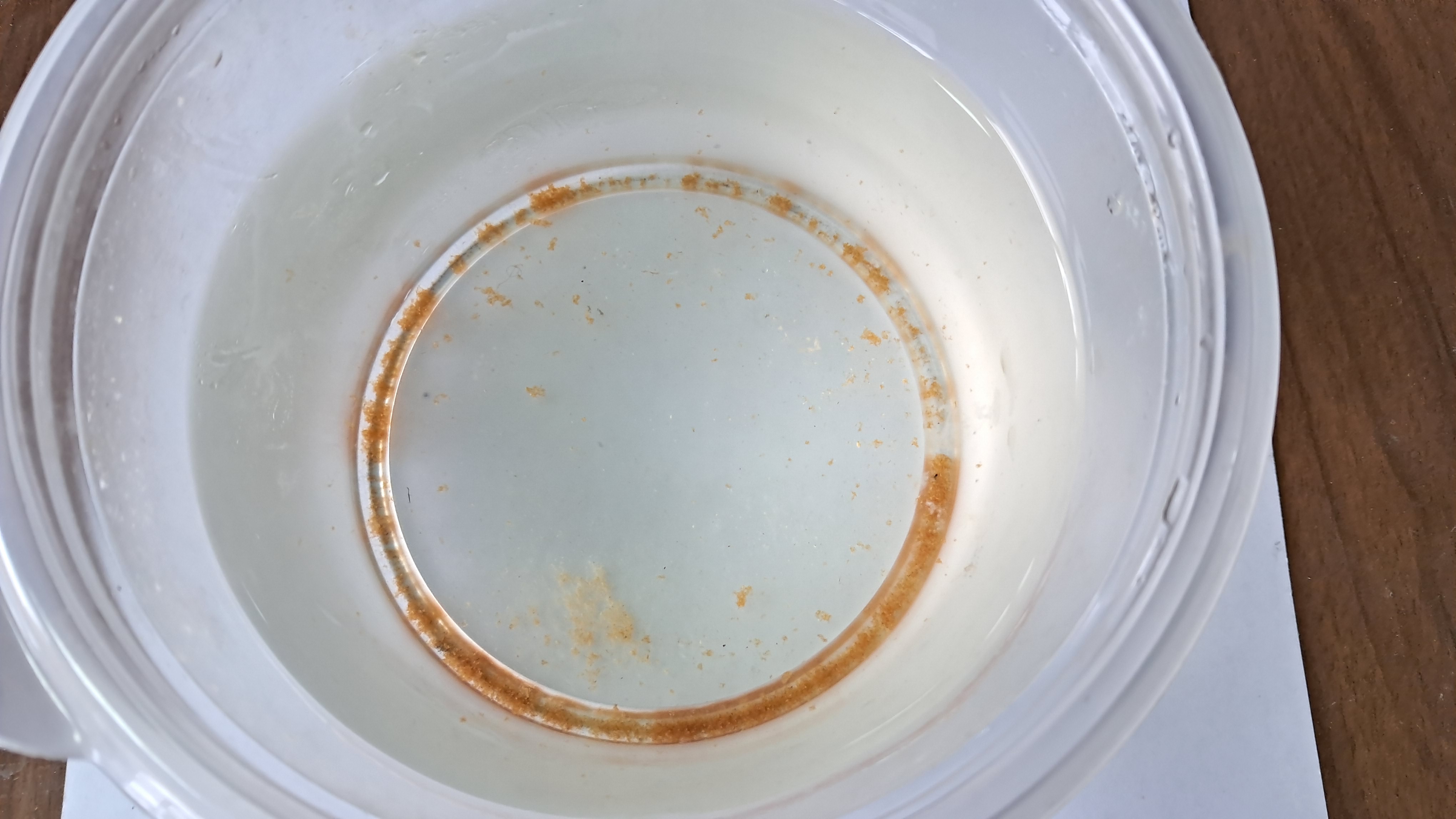Precipitation of iron(III) hydroxide during freezing of water