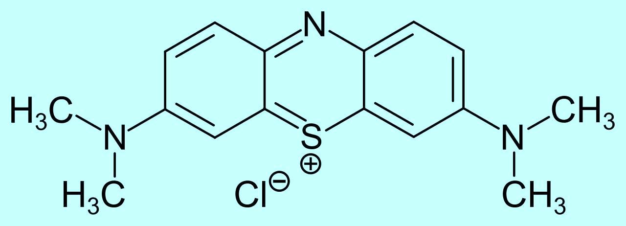 Does methylene blue dye white flowers?