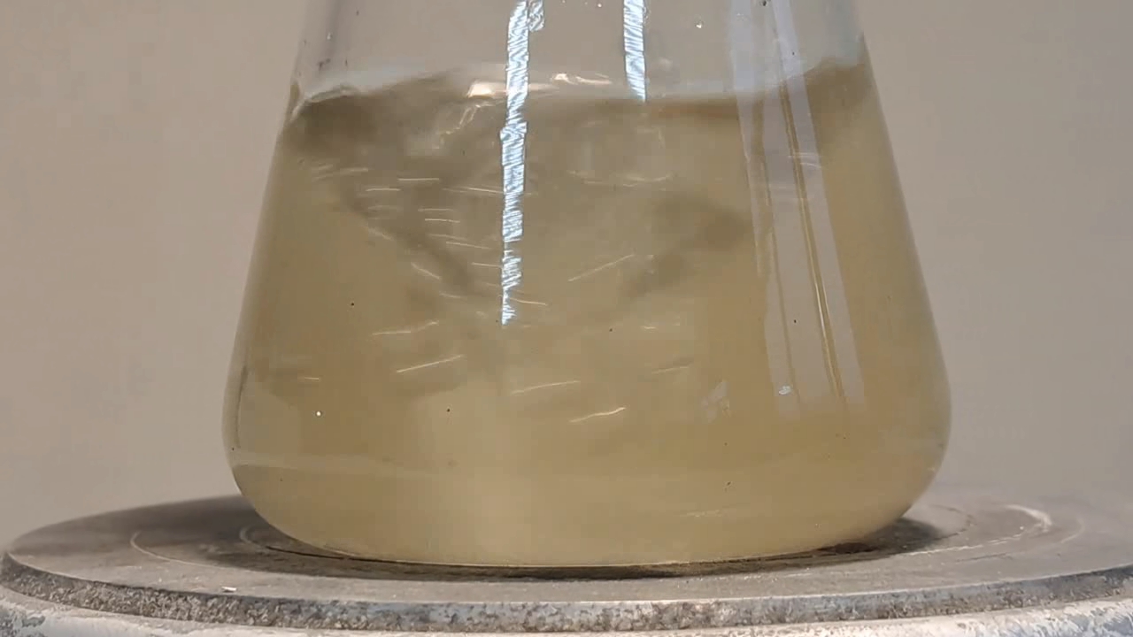 Dissolution of Calcium Sulfate in Hydrochloric Acid