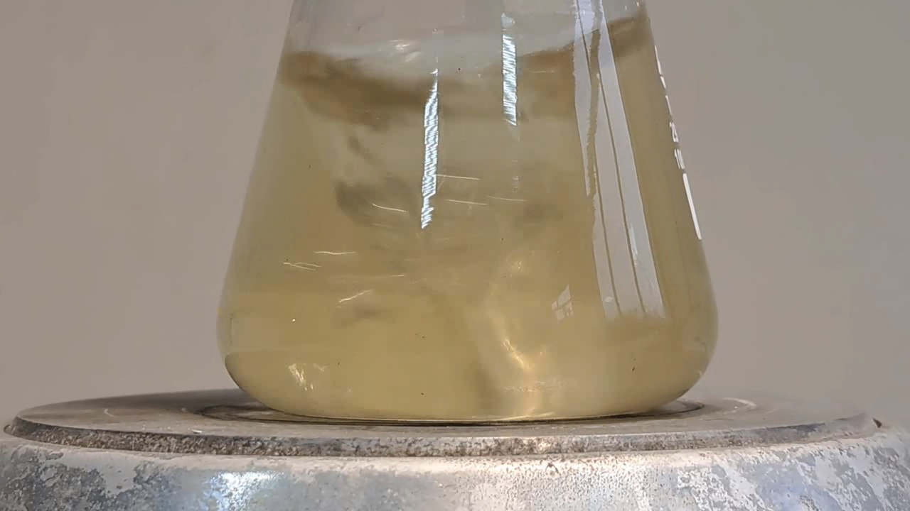 Dissolution of Calcium Sulfate in Hydrochloric Acid