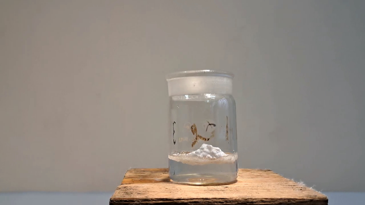 Dissolving Expanded Polystyrene in Methylene Chloride