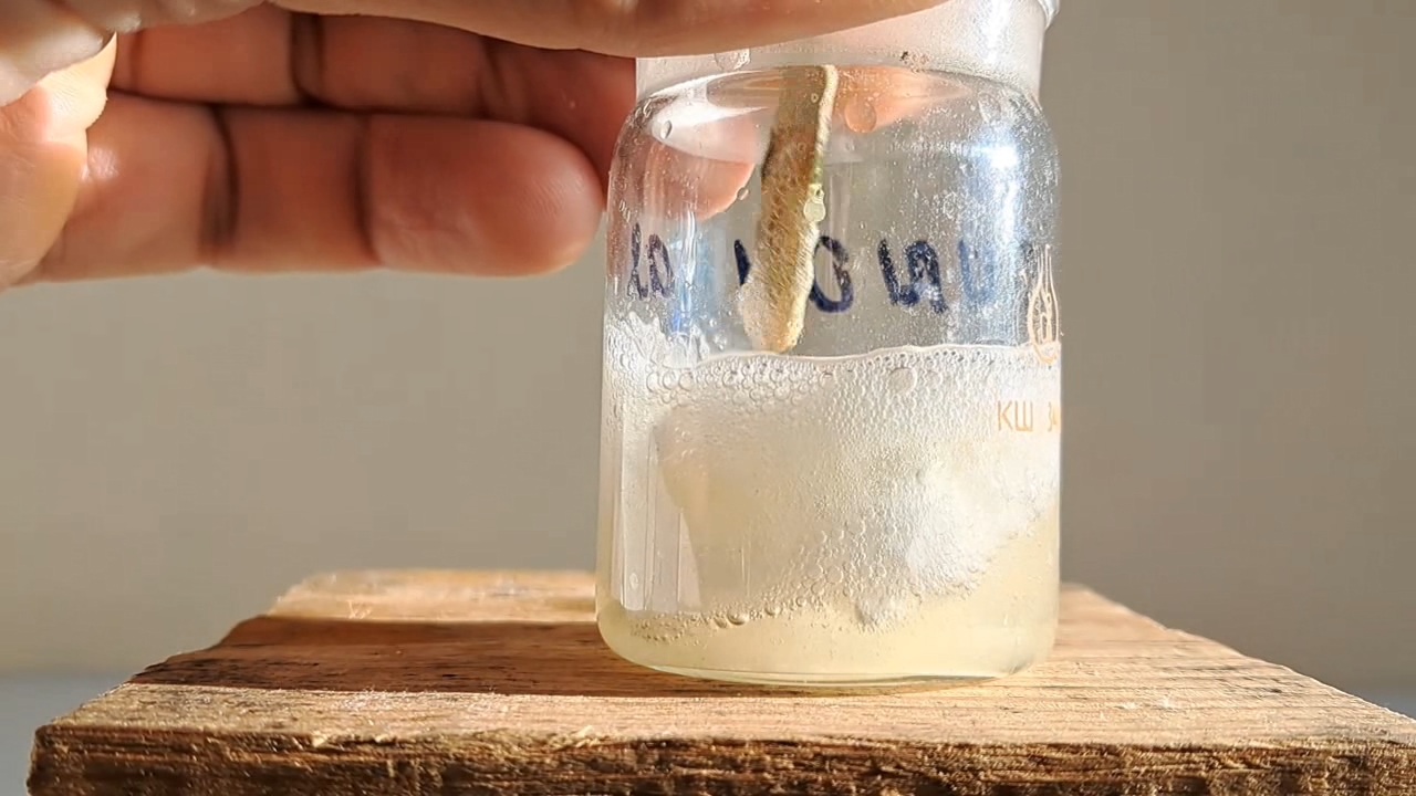 New Year's Day in the Laboratory. Dissolving Polystyrene in Dimethylformamide